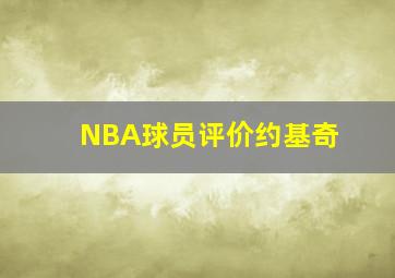 NBA球员评价约基奇