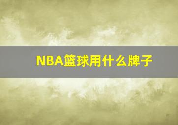 NBA篮球用什么牌子