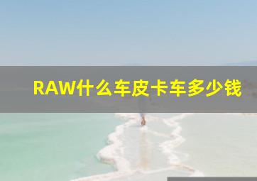 RAW什么车皮卡车多少钱