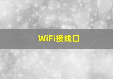 WiFi接线口