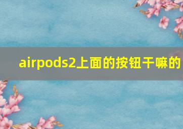 airpods2上面的按钮干嘛的