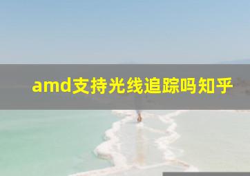 amd支持光线追踪吗知乎