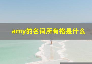 amy的名词所有格是什么