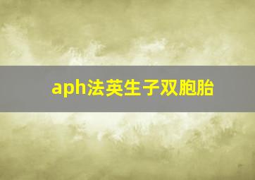 aph法英生子双胞胎