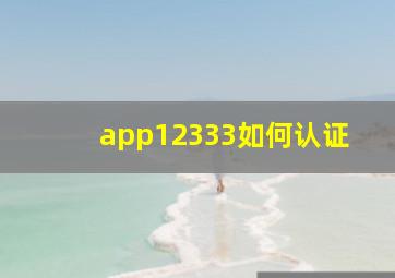 app12333如何认证