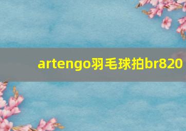 artengo羽毛球拍br820