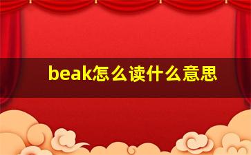 beak怎么读什么意思