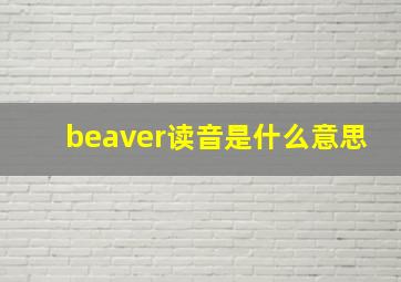 beaver读音是什么意思