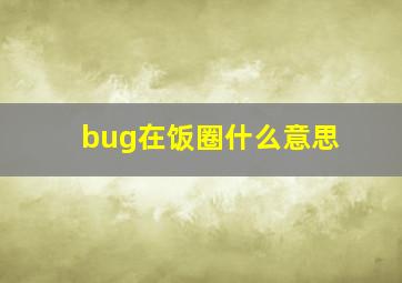 bug在饭圈什么意思