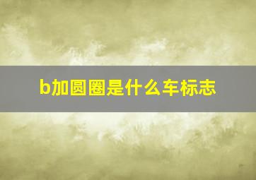 b加圆圈是什么车标志