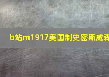 b站m1917美国制史密斯威森