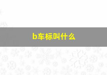 b车标叫什么