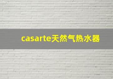 casarte天然气热水器