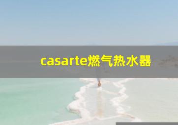 casarte燃气热水器