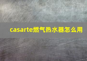 casarte燃气热水器怎么用