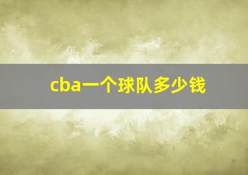 cba一个球队多少钱