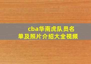 cba华南虎队员名单及照片介绍大全视频