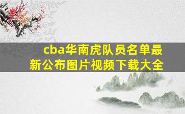 cba华南虎队员名单最新公布图片视频下载大全