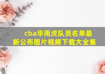 cba华南虎队员名单最新公布图片视频下载大全集