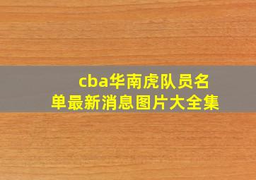 cba华南虎队员名单最新消息图片大全集