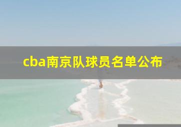 cba南京队球员名单公布