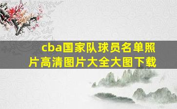 cba国家队球员名单照片高清图片大全大图下载