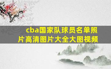 cba国家队球员名单照片高清图片大全大图视频