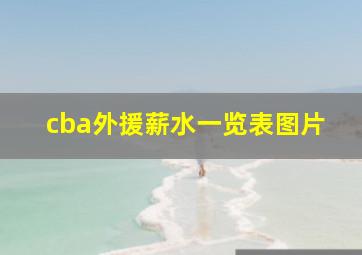 cba外援薪水一览表图片