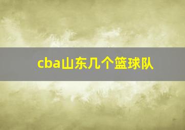 cba山东几个篮球队