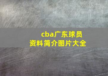 cba广东球员资料简介图片大全