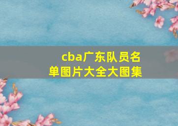 cba广东队员名单图片大全大图集