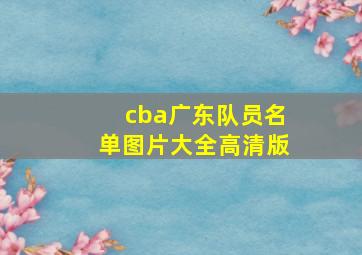 cba广东队员名单图片大全高清版