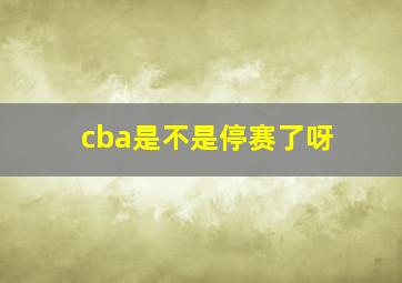 cba是不是停赛了呀