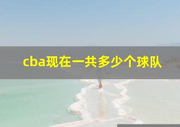 cba现在一共多少个球队