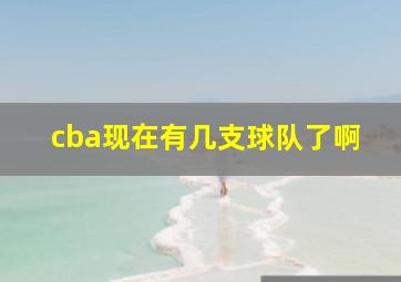 cba现在有几支球队了啊