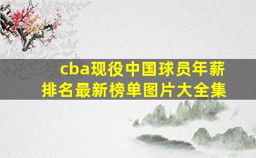 cba现役中国球员年薪排名最新榜单图片大全集