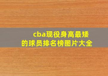 cba现役身高最矮的球员排名榜图片大全