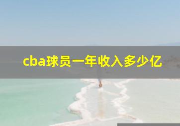 cba球员一年收入多少亿