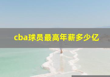 cba球员最高年薪多少亿