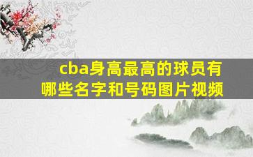 cba身高最高的球员有哪些名字和号码图片视频