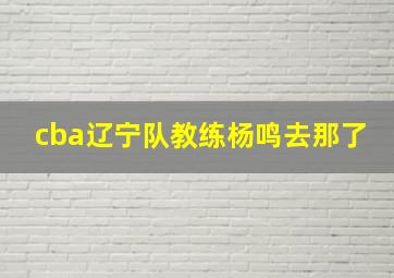 cba辽宁队教练杨鸣去那了