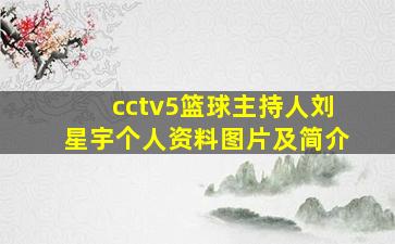 cctv5篮球主持人刘星宇个人资料图片及简介