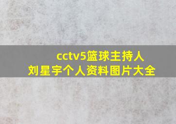 cctv5篮球主持人刘星宇个人资料图片大全