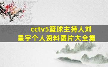 cctv5篮球主持人刘星宇个人资料图片大全集