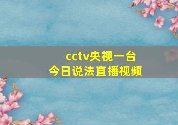 cctv央视一台今日说法直播视频