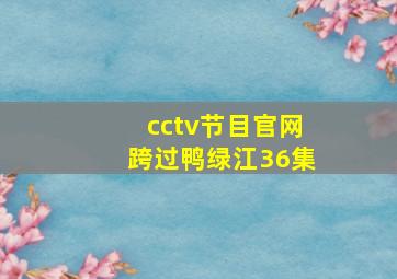 cctv节目官网跨过鸭绿江36集