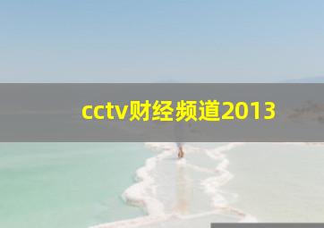 cctv财经频道2013