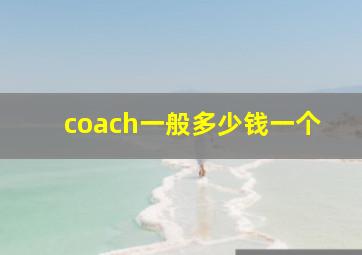 coach一般多少钱一个