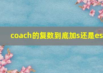 coach的复数到底加s还是es