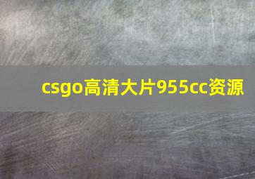 csgo高清大片955cc资源